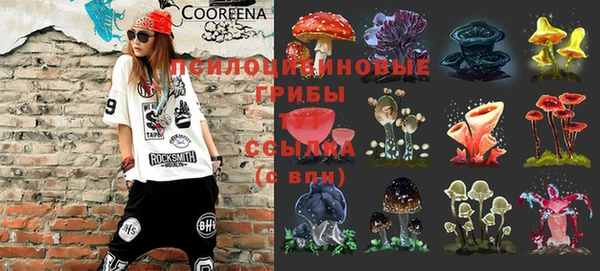 гашиш Заводоуковск