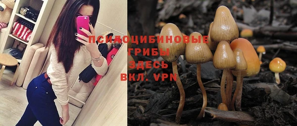 сатива Заволжск