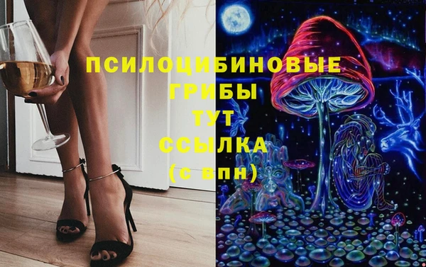сатива Заволжск