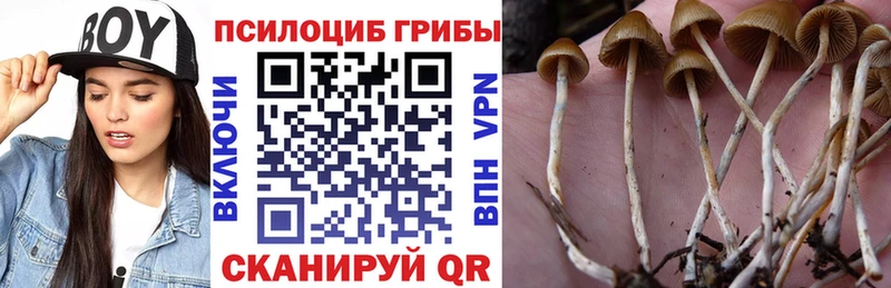 Купить  Заволжье  Псилоцибиновые грибы ЛСД 