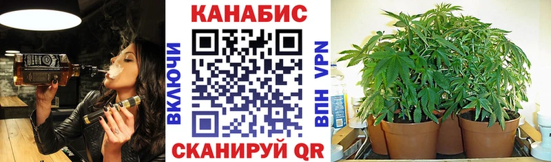 Купить  Заволжье  Конопля планчик 